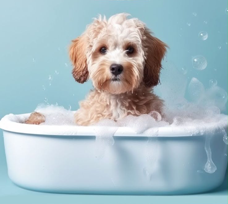 Pet Grooming